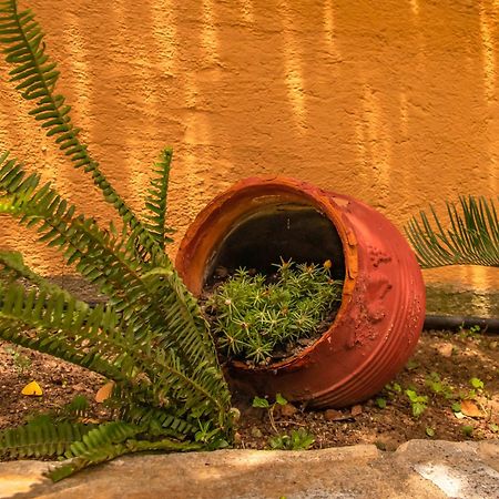La Casa De Vacation Villa Lafkos Dış mekan fotoğraf