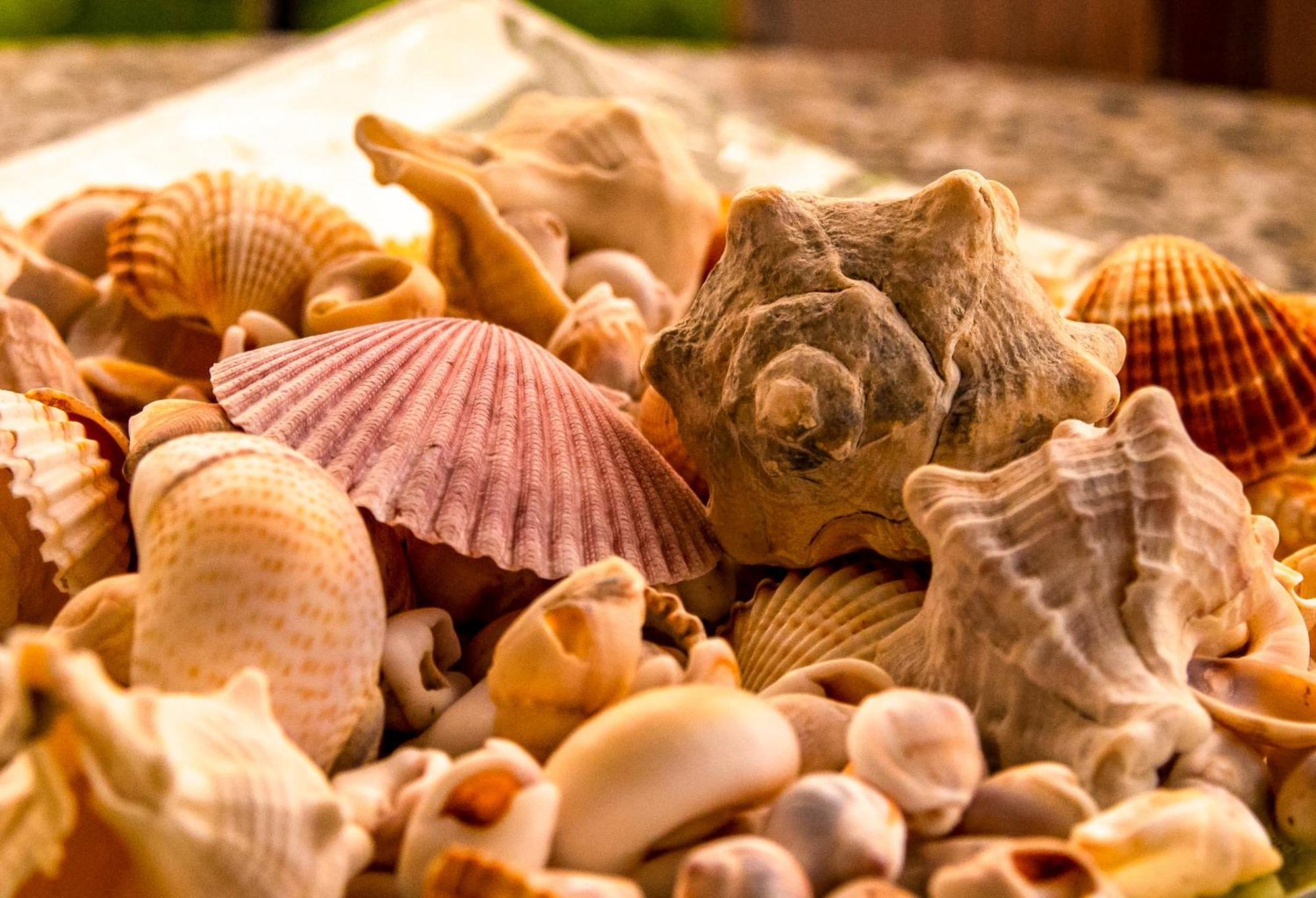 La Casa De Vacation Villa Lafkos Dış mekan fotoğraf
