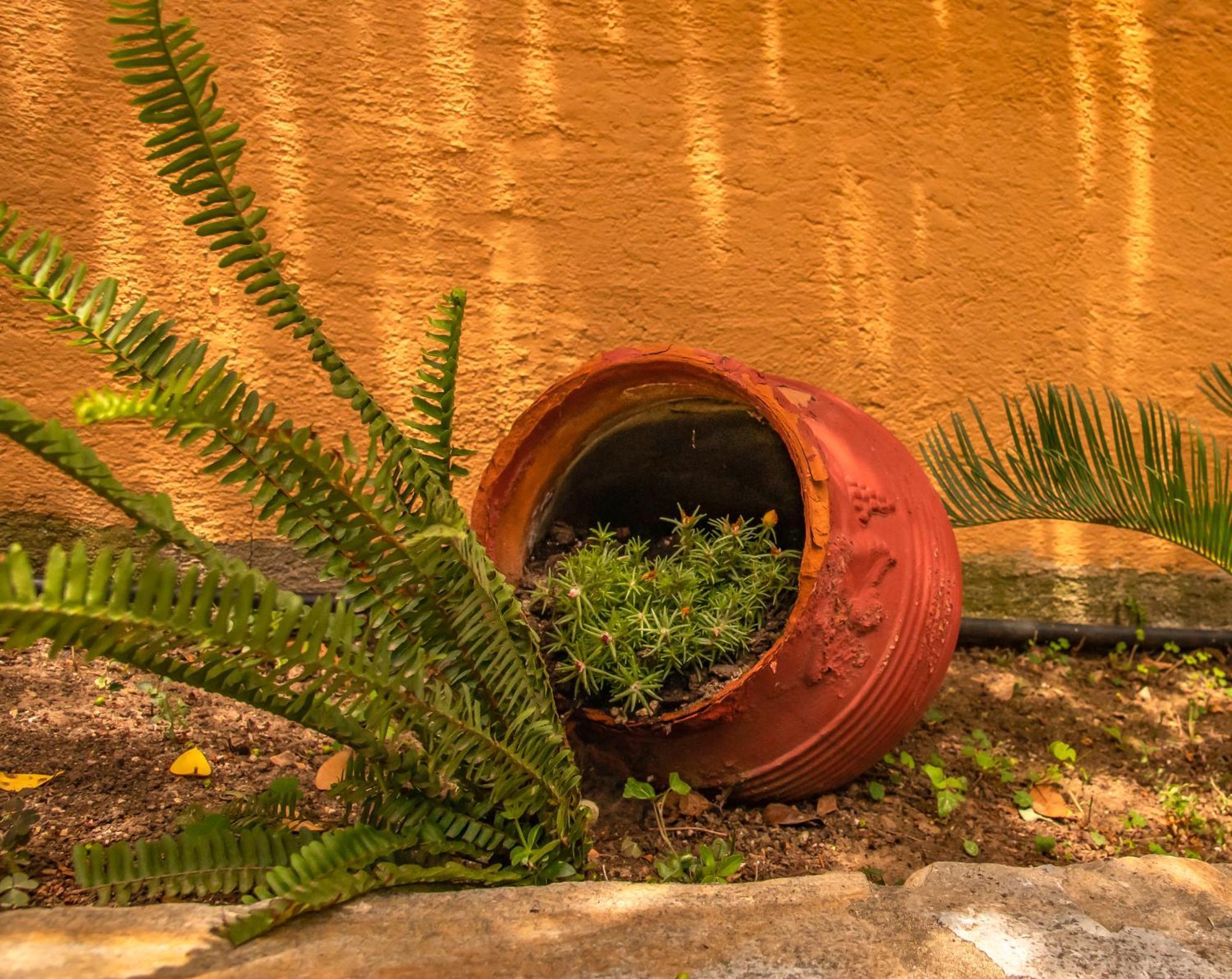 La Casa De Vacation Villa Lafkos Dış mekan fotoğraf