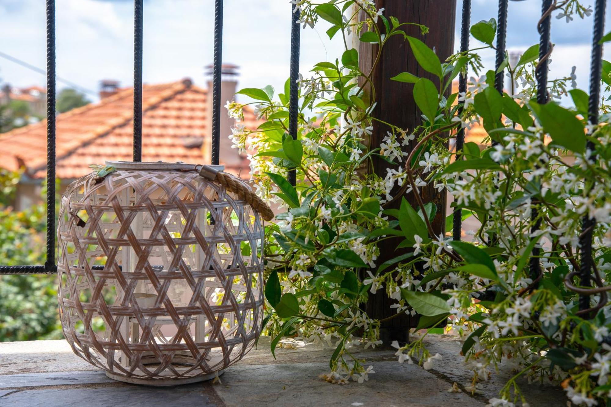 La Casa De Vacation Villa Lafkos Dış mekan fotoğraf